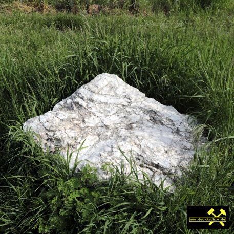 Gipskeuper am Schwanberg NO von Iphofen, Bayern - 18. Mai 2023 (16).JPG